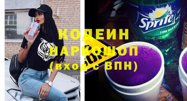 крисы Няндома