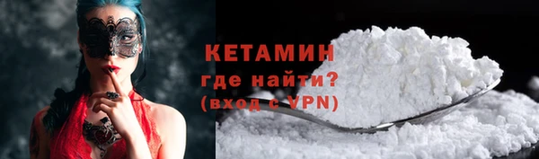 СК Новодвинск