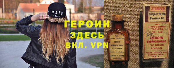 СК Новодвинск