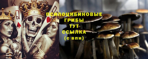 крисы Няндома