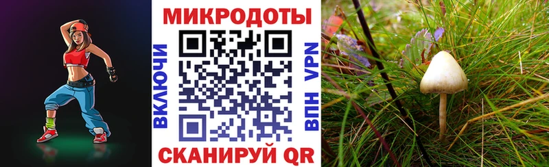 Галлюциногенные грибы MAGIC MUSHROOMS  как найти закладки  Ступино 