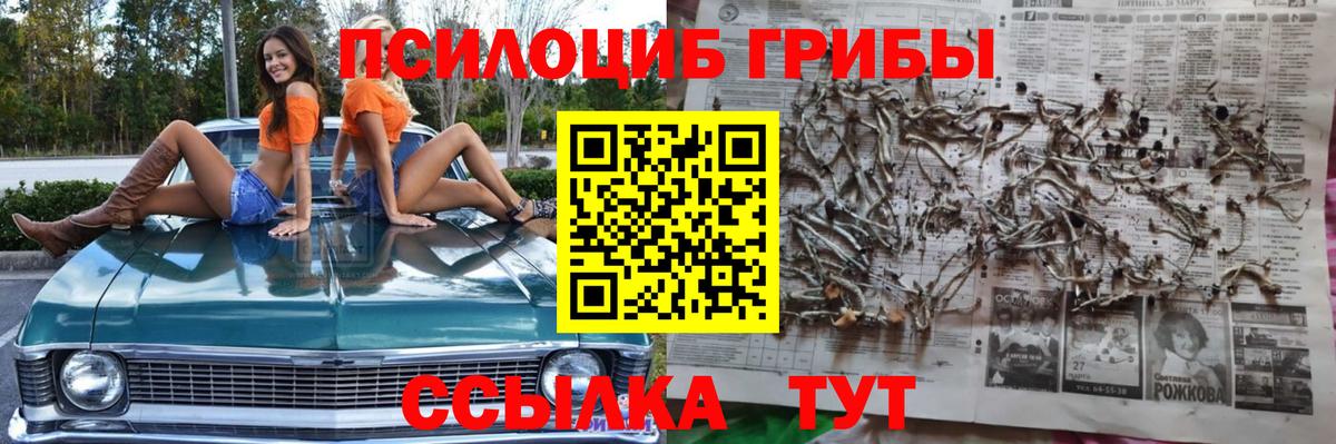 Галлюциногенные грибы GOLDEN TEACHER  Вход с VPN  Псилоцибиновые грибы мухоморы  Ступино 