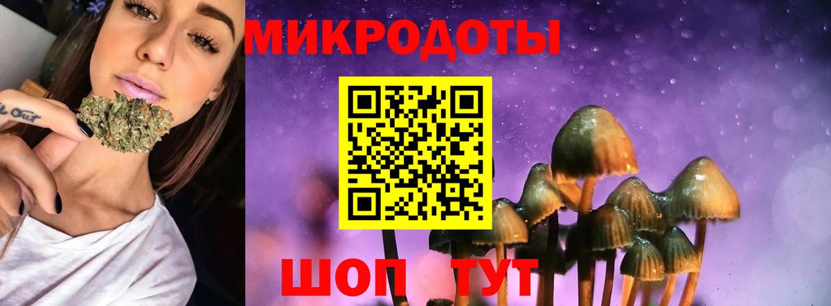 Псилоцибиновые грибы Psilocybine cubensis  Псилоцибиновые грибы мухоморы  Ступино 