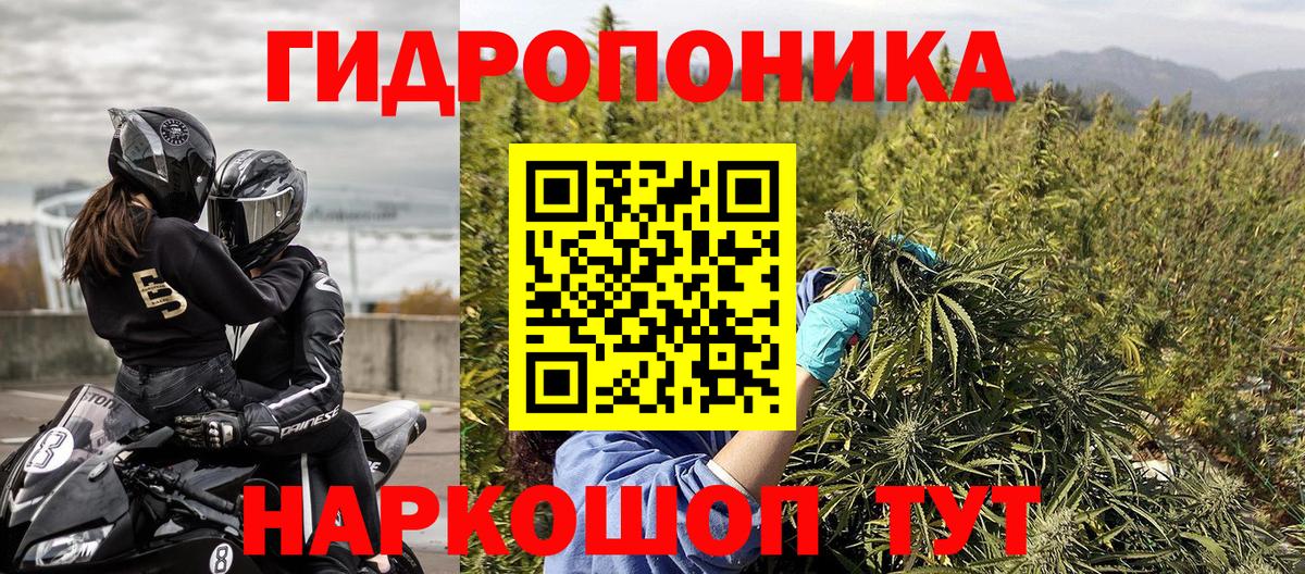 Конопля White Widow Ступино